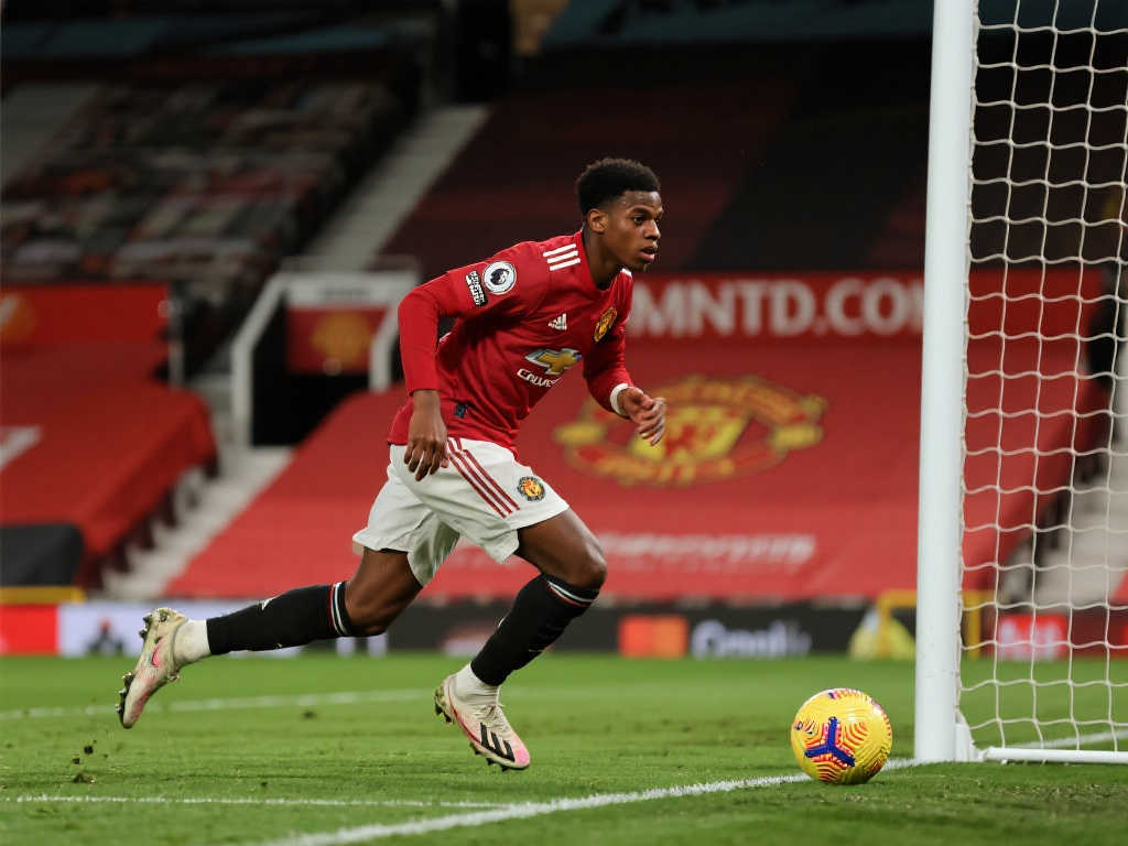 我们看到许 我们看到许